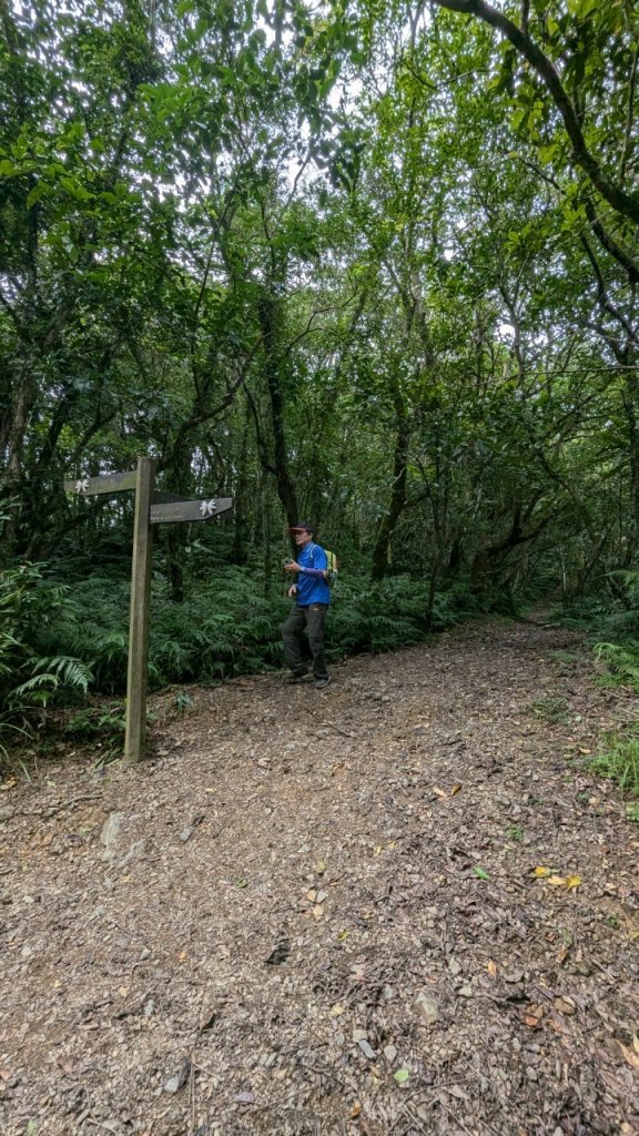 113.06.22坪溪古道-石坑山之旅_2533803