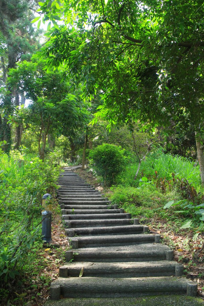 雲林．林內龍過脈森林步道2023/07/22_2237629
