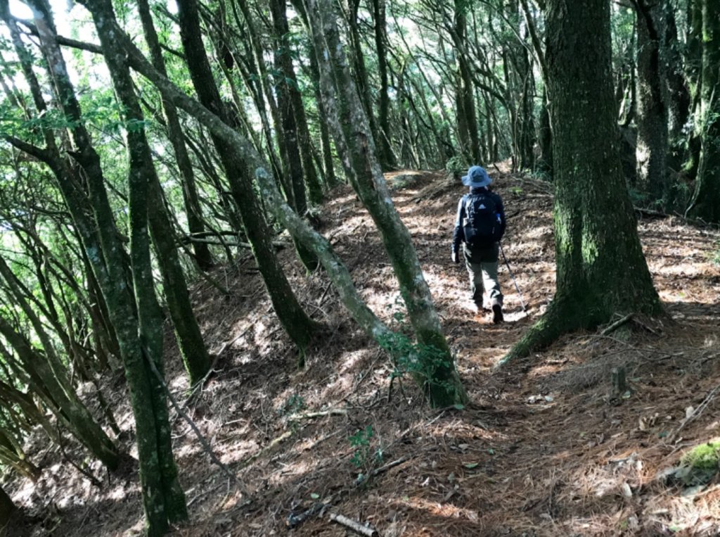 養老山走基那吉山_494220