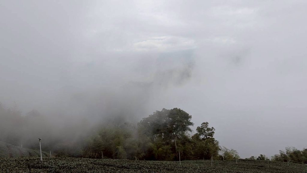 雲嘉五連峰 (大尖山、二尖山、馬鞍山、梨子腳山、太平山)_2991104