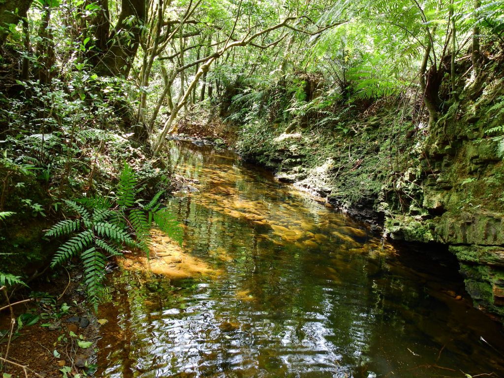 沒力虎豹潭_178208