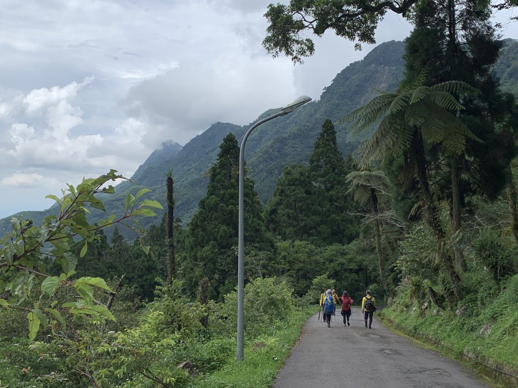 20250614南投南鳳凰山封面圖