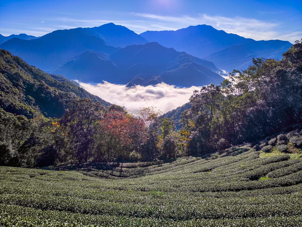 2025-12-21 武界山、獅凸魯山、橫屏山、橫屏山西峰_2969672