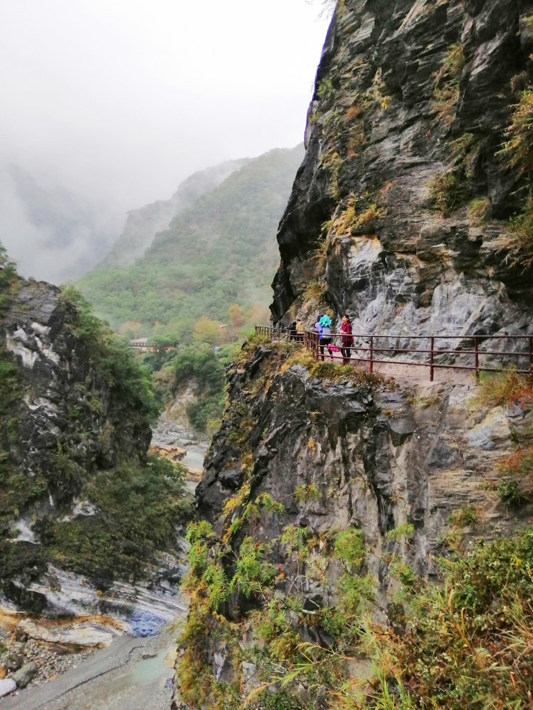 青山綠水雲霧繚繞。 綠水合流步道_769465