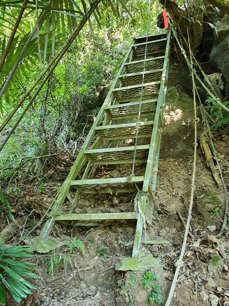 1110723熊佧山&鷂婆山_1776591