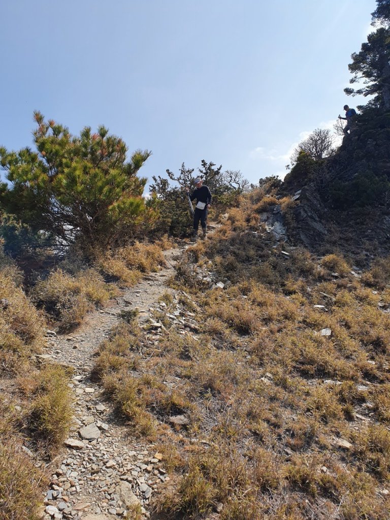 玉山八通關之最_1318456