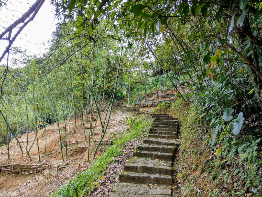 內湖白鷺鷥山&&康樂山親山步道_900084