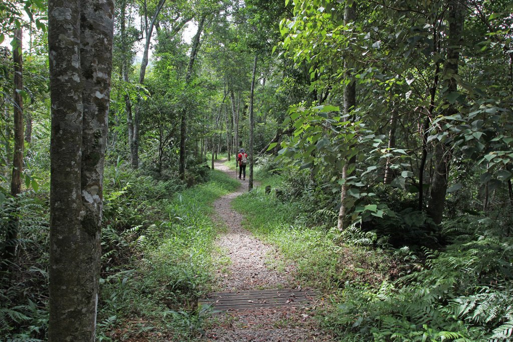 拳頭姆自然步道輕鬆行_792639