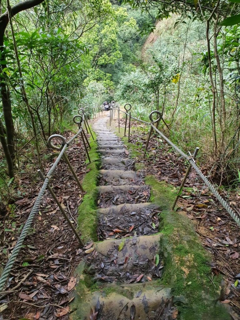 磺嘴山，翠翠谷，擎天崗，孝子山，慈母峰，普陀山，嶺腳瀑布，基隆曾子寮山，地標景觀台步道_1713039