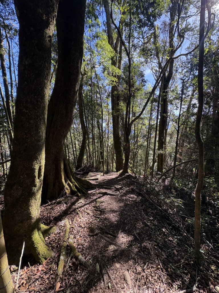 20251221嘉南雲峰、石壁山登山步道_2968136