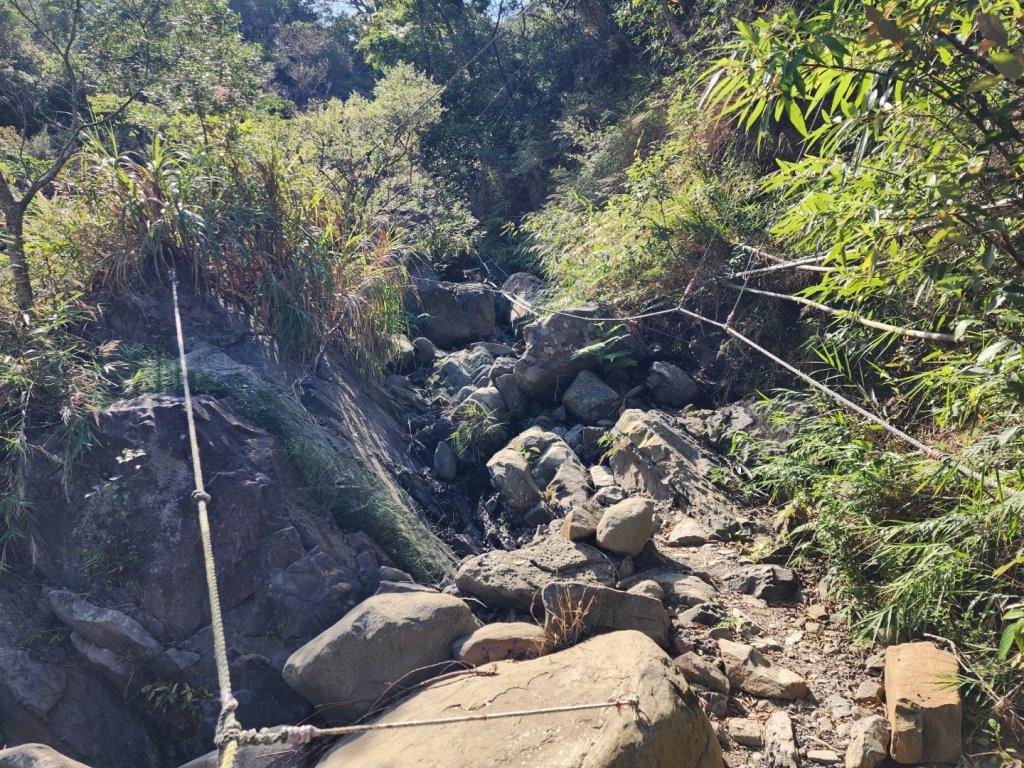 小百岳No.80⛰里龍山_2776335