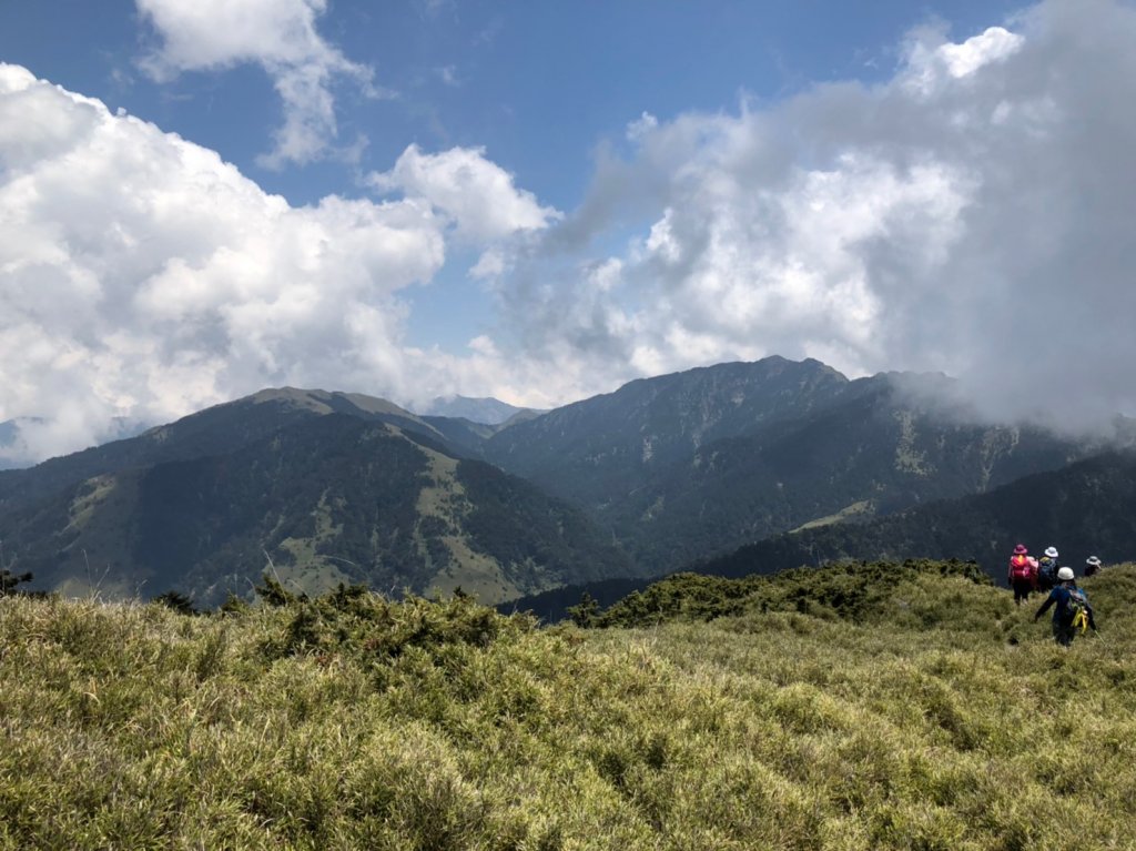 合歡山五座百岳賞杜鵑花_587133