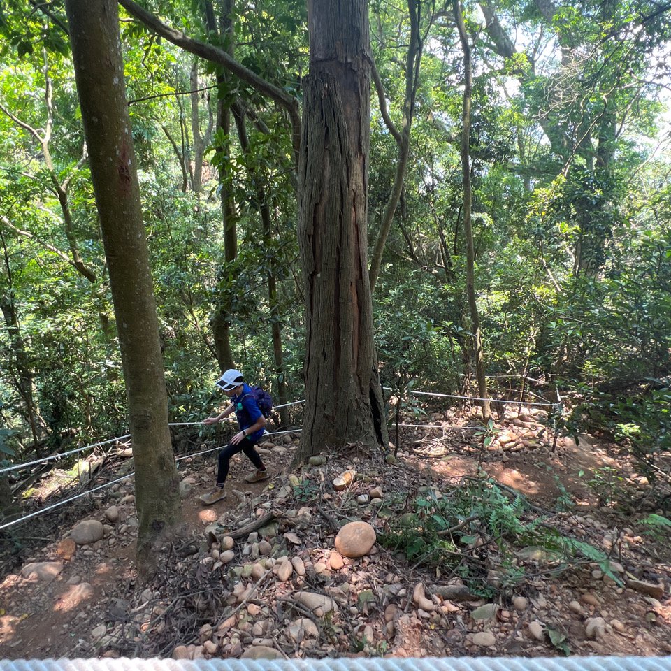 火炎山之旅_1775166