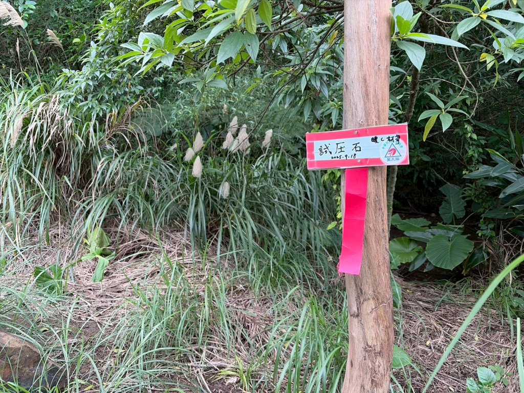 新北 金瓜石 煙囪山_2981265