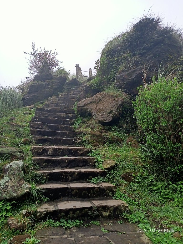 【臺北大縱走 3】冷水坑→七星山東峰→冷擎步道→牛奶湖→菁山吊橋_2468525