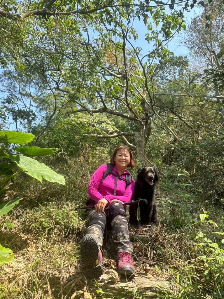 高雄美濃月光山_2734941