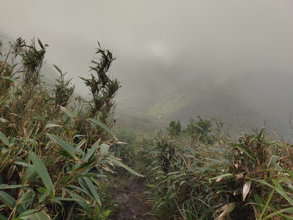 大屯溪古道-小觀音山北峰-主峰-北北峰-西北峰-竿尾崙山-竿尾崙古道-大屯溪古道O型110.4.23_1363915