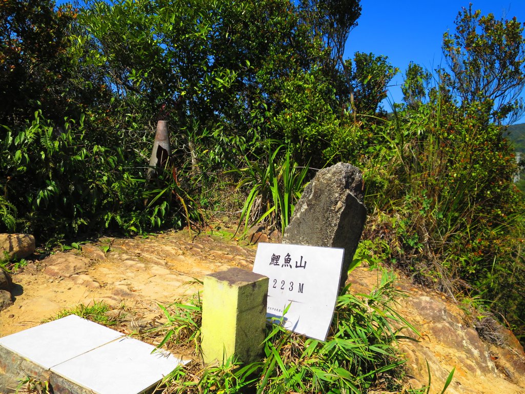 龍年首登的好選擇，鯉躍龍門，搭捷運來內湖爬三尖，鯉魚山、忠勇山、圓覺尖_2426481