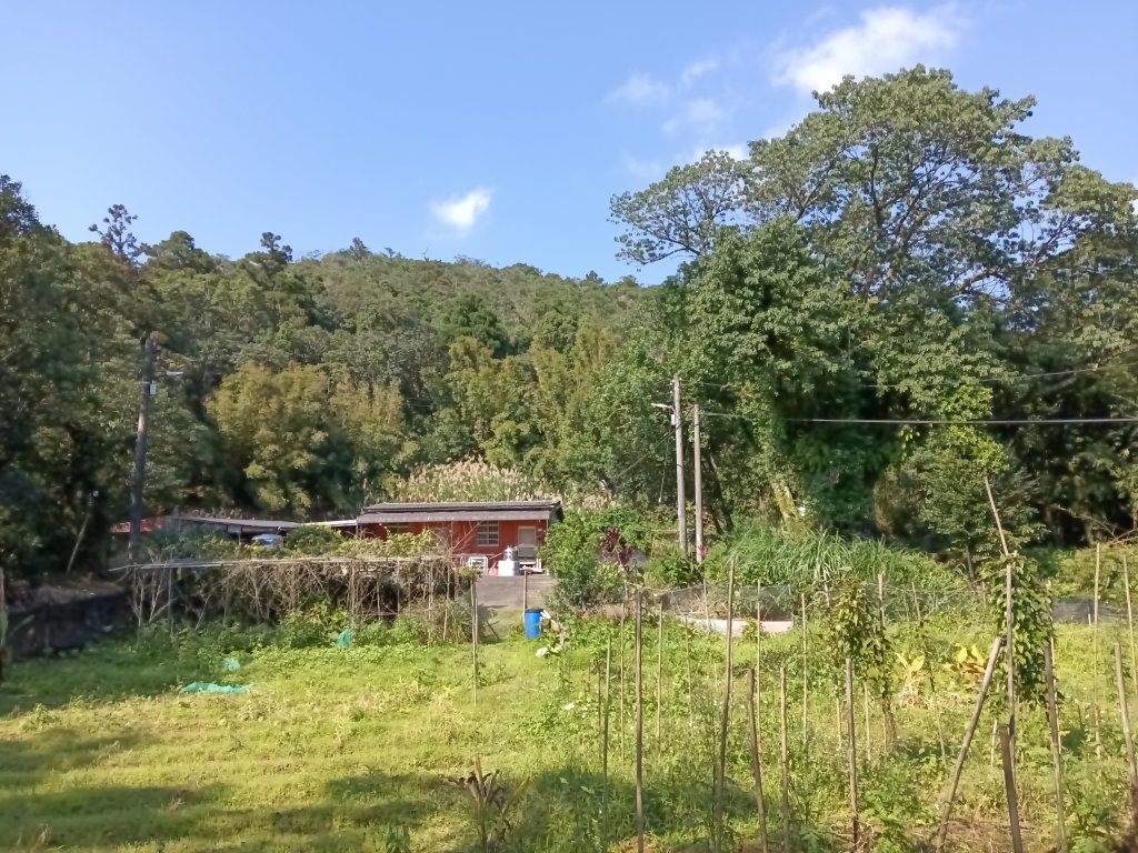 坪林區楣子寮尖+土地公遺址+火燒寮古道+枋山坑古道+枋山坑崙O型_2985686