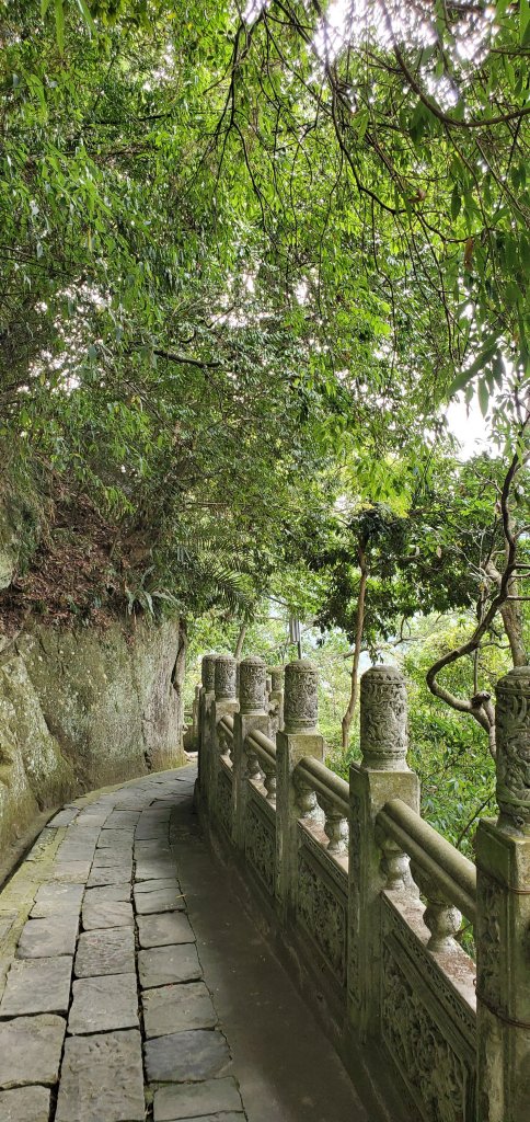 2020-11-29獅山古道_1381060