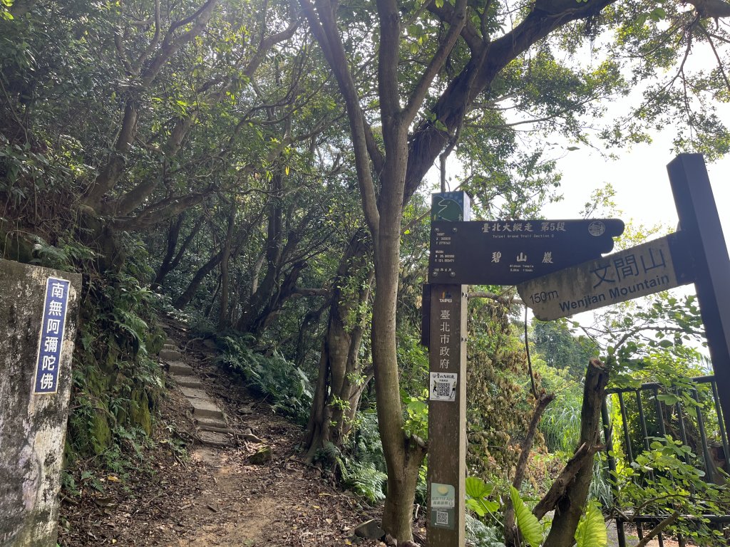 2024_0804 文間山_2566389