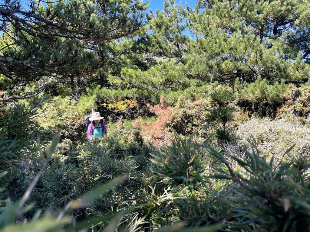 馬比杉山-2021/10/05_1489418