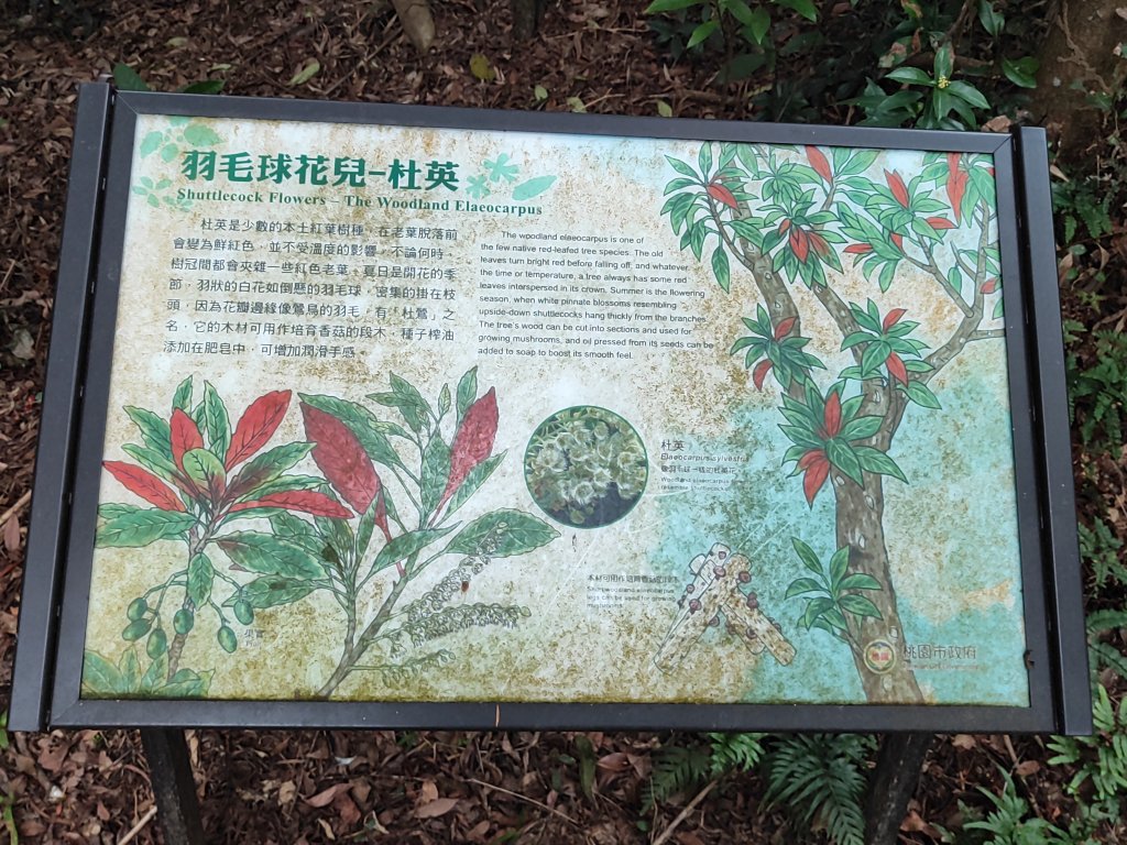 五酒桶山_3003909