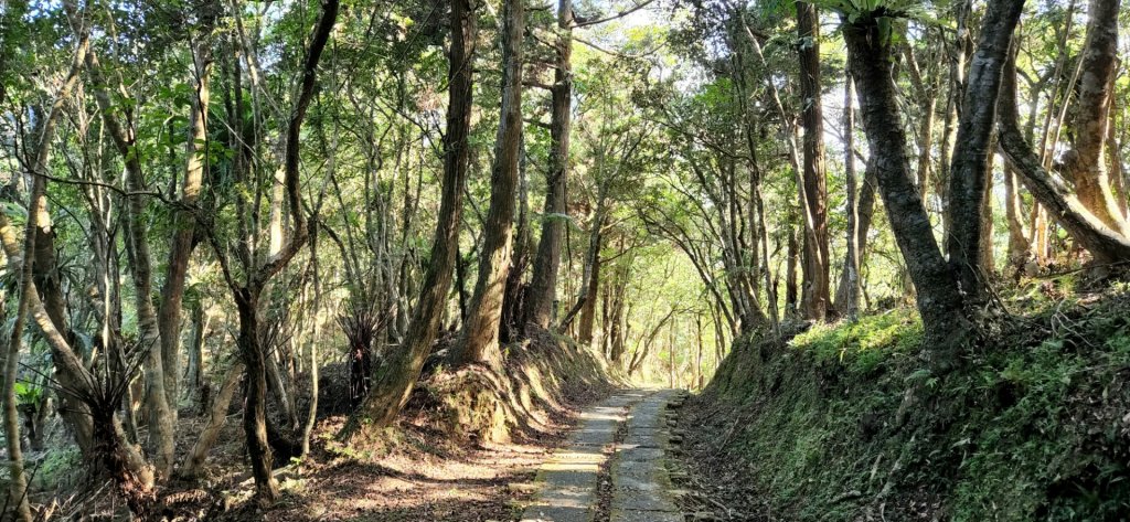 草嶺古道，跑馬古道，十一指古道，頭寮生態步道，金敏子山，詩朗山，王公坑山_1829170