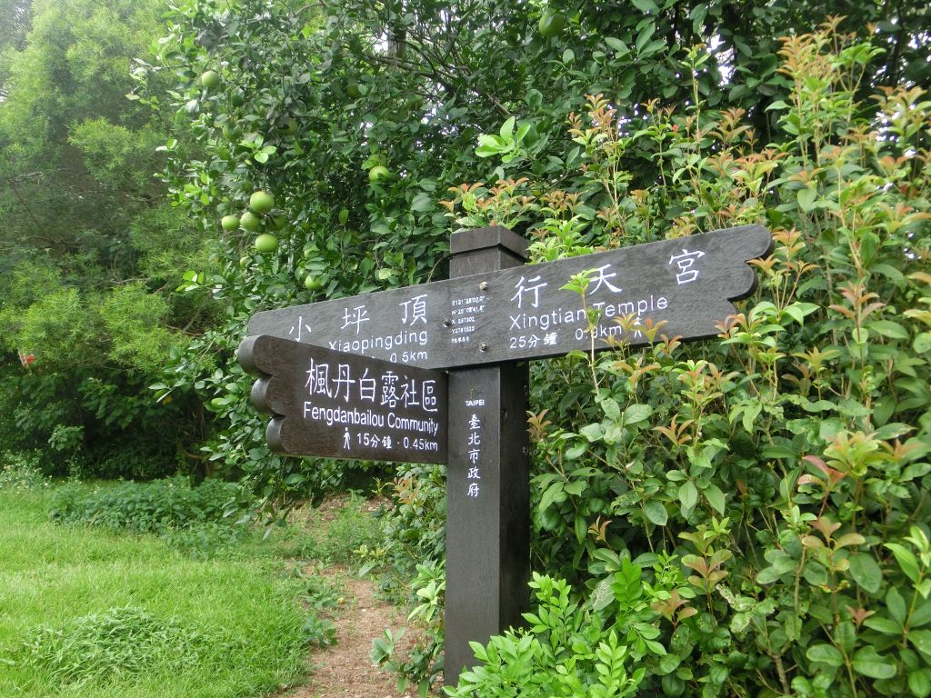 忠義山．雕塑公園．關渡親山步道_174061