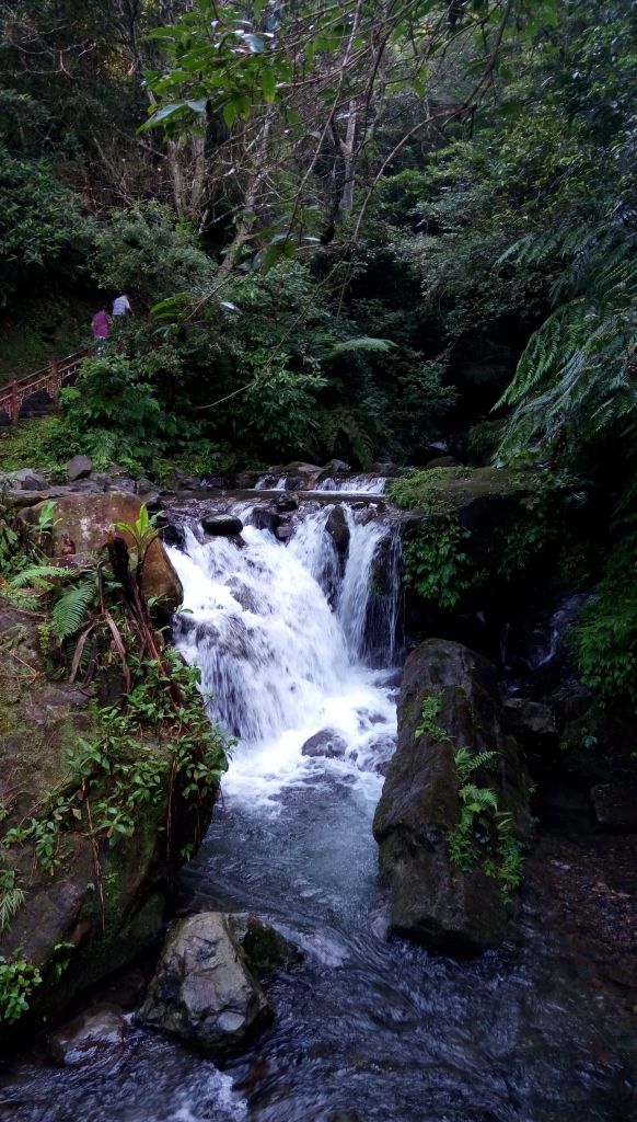 聖母山莊之旅_138879