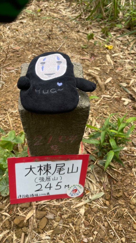 鳳鳴-龜山-鶯歌六連峰縱走/樹林大凍山-鶯歌蛋石山-鶯歌陶瓷博物館_2737870