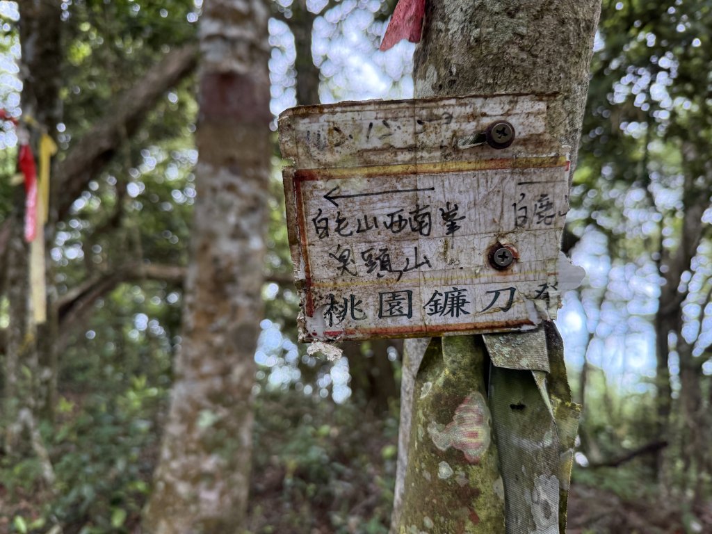 白毛山O繞+臭頭山 20250517_2791748