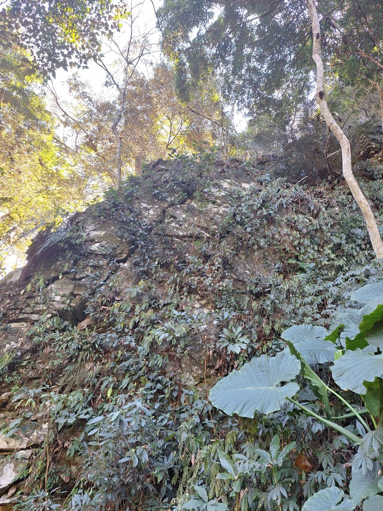 谷關蝴蝶谷瀑布20251120_2940807