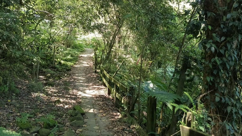 20251004 馬那邦山 - 珠湖 登山口_2904872