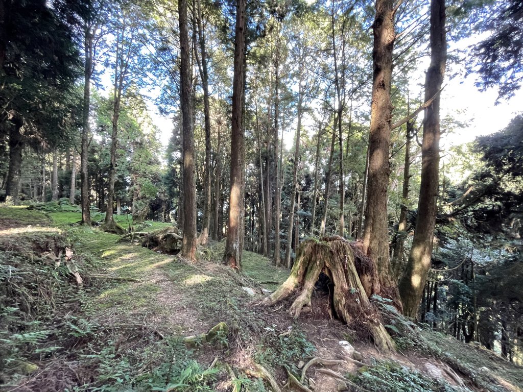 阿里山三霞 -- 楠梓仙溪左岸 南霞山_1490290