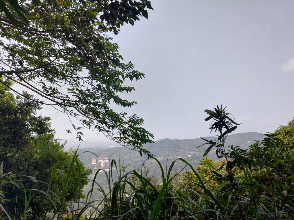 大棟山縱走(鶯歌上山佳下)_1319324