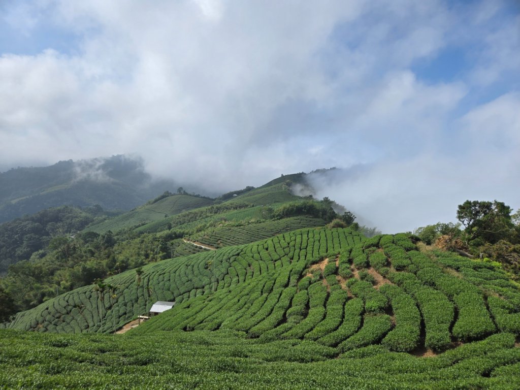 雲嘉六連峰（小百岳）封面圖