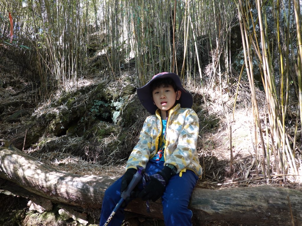 阿興阿賢來找辣咩姐姐～白姑大山～_2098337