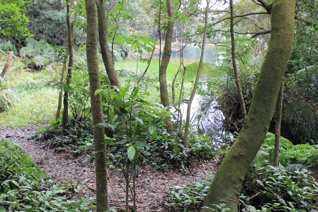 汐止金明山.柯子林山.如意湖O型_291466