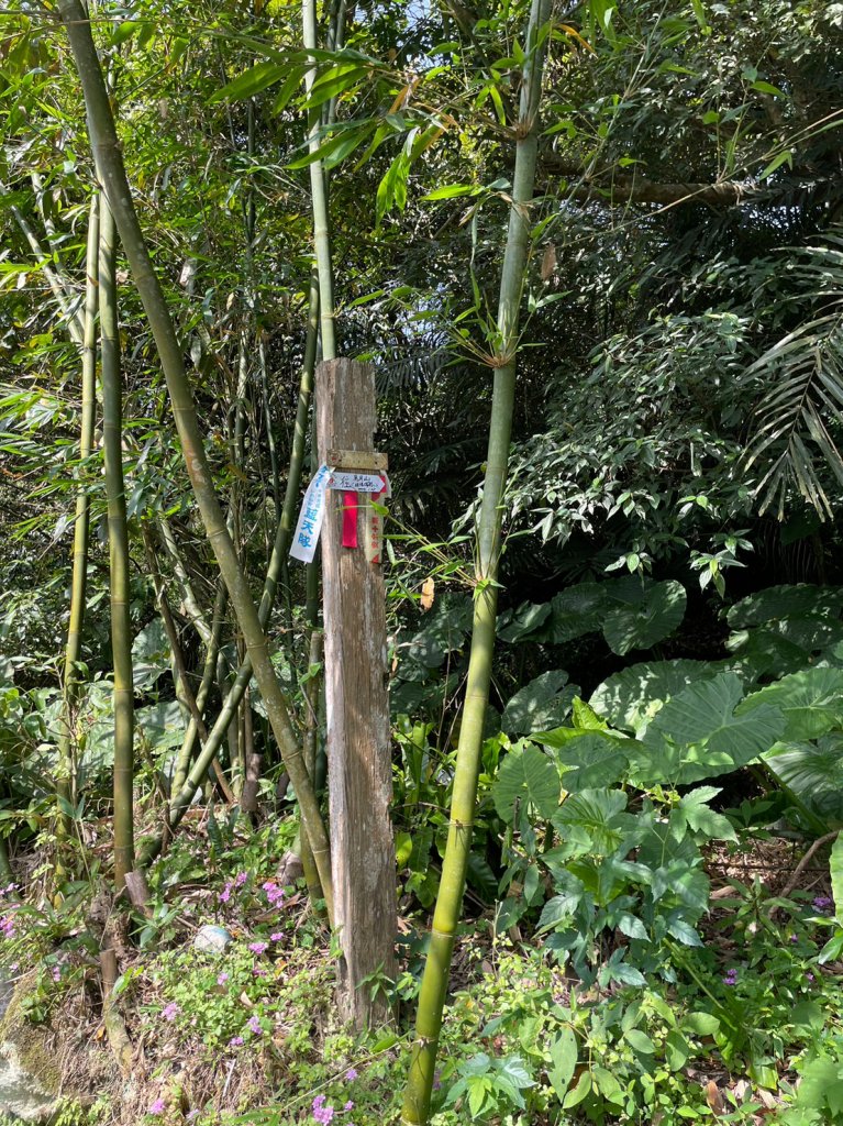 冷飯坑山_2140269