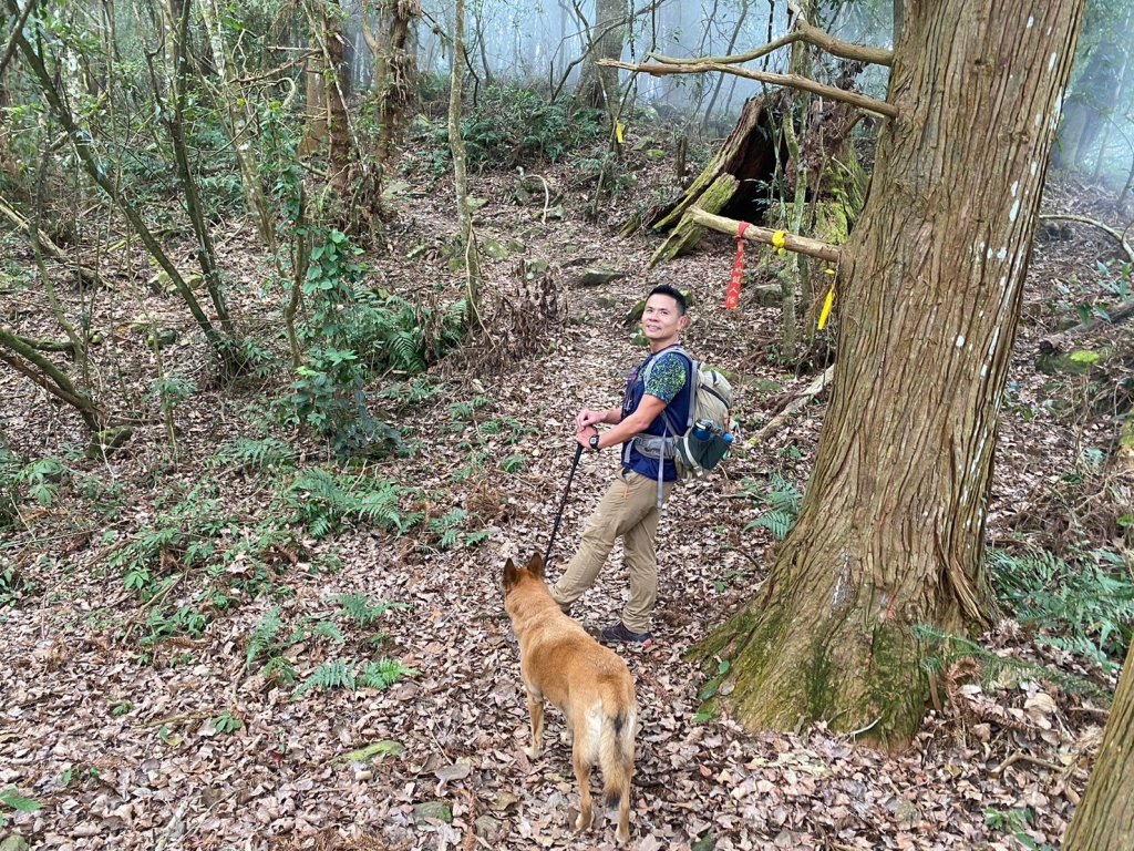 望鄉部落.獵人古道.望美山.瓊山【人與自然山林的恩怨情仇】_2731386