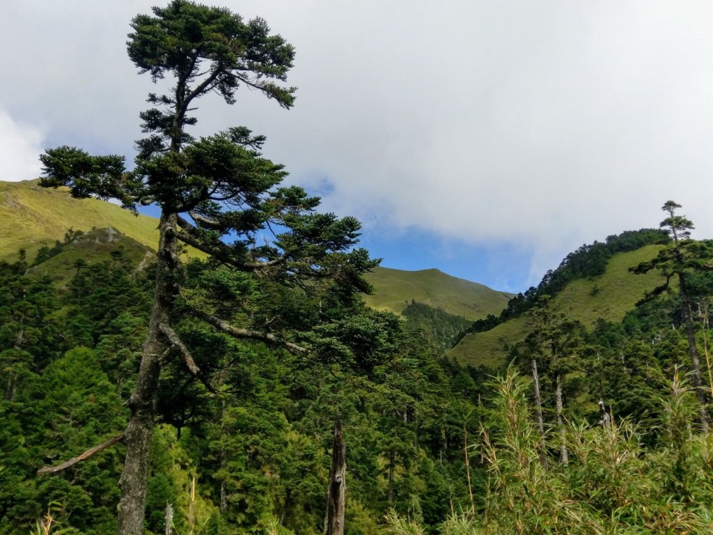 2018登山攝_445580