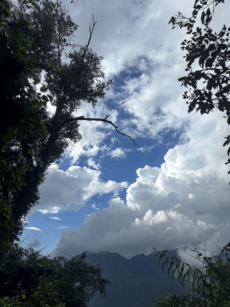 回程下雨的 松鶴上 八仙山 20251025_2925765