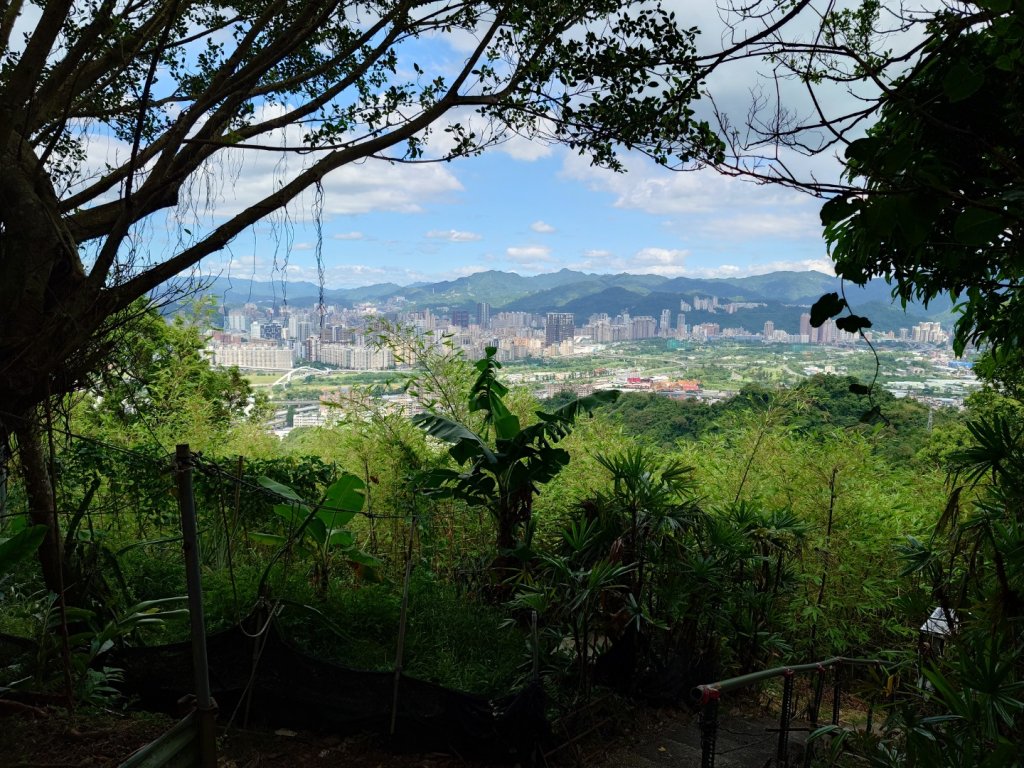 微笑山線之烘爐地任務_2836472