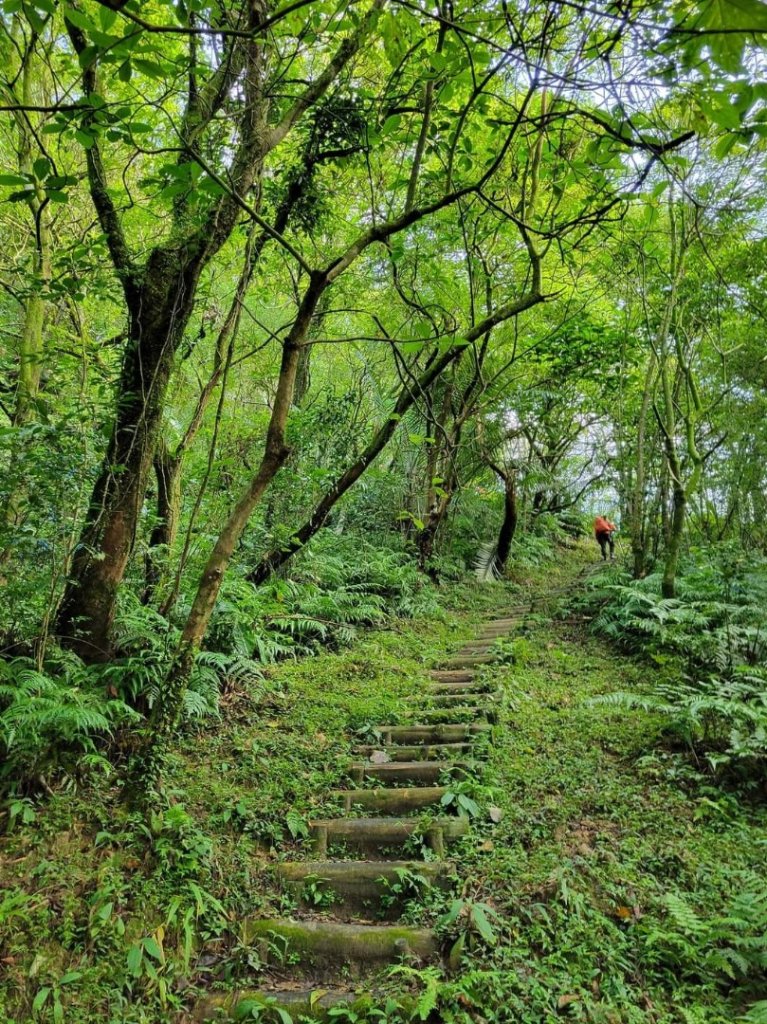 112.12.07 淡蘭古道（雙溪-十分）_2551544