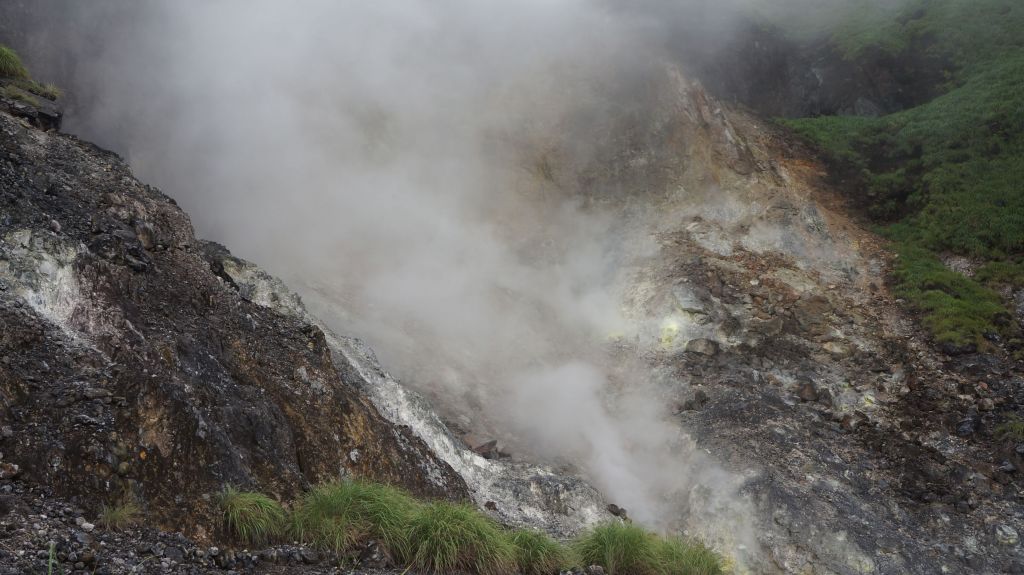 陽明山東西大縱走活動_402930