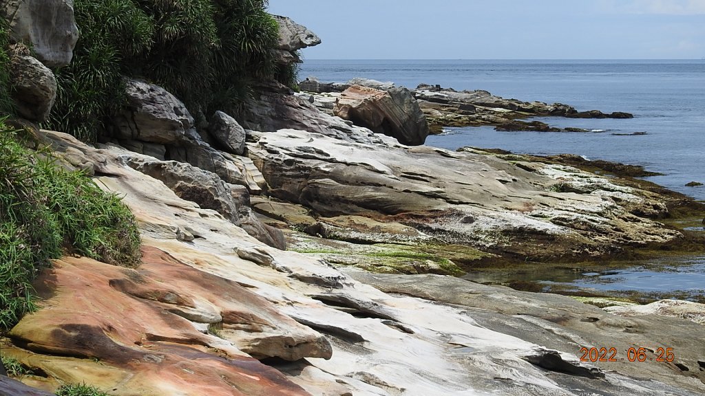 雲山水花鳥蝶-天龍國阿伯的日常6/25&26_1744217