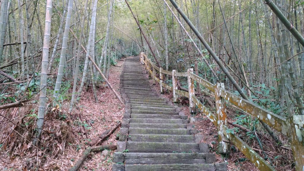 塘湖古道+166縣+出水坑步道縱走_306390