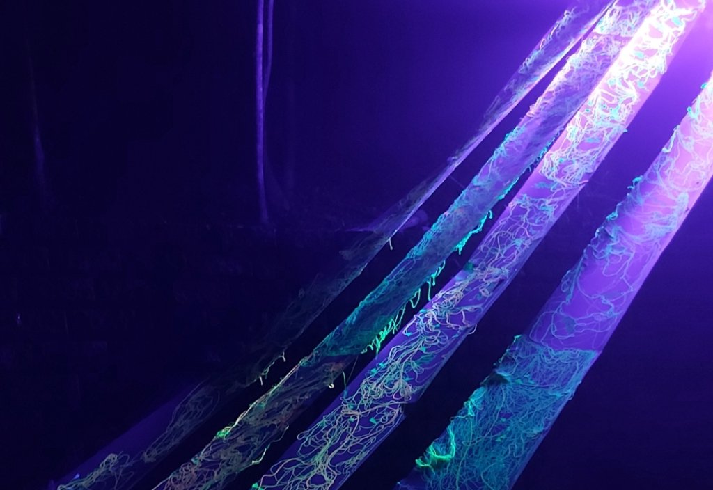 虎形山步道(空山祭-龍火餘燼)_2400640