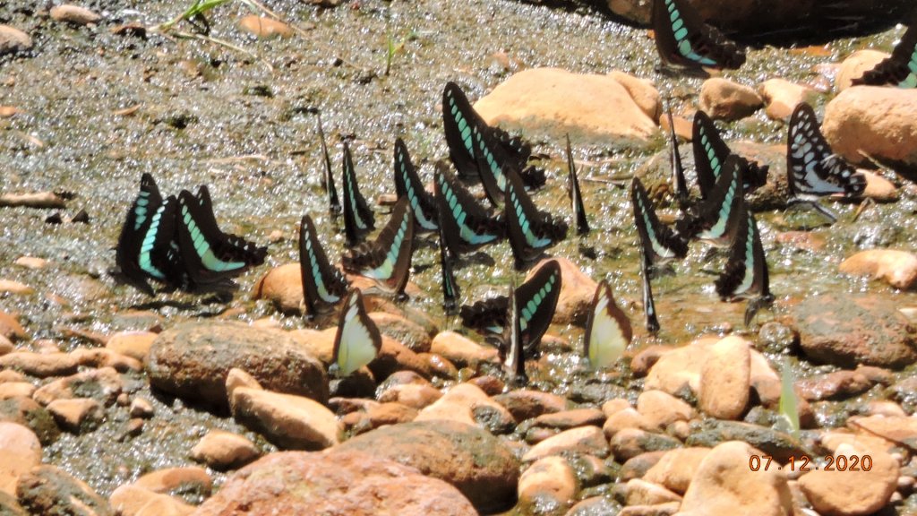 就是喜歡這個藍天白雲的FU_1030336